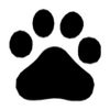 360ָ��������ѯ����
