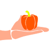 ����ũ��Ʒ