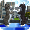 Cat & Puppy World(�ɰ���è���С��)