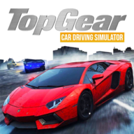 Top Gear Car Driving Sim()v0.1׿