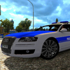 Thief Real Police Cop Simulator(����ľ�����ʻ)