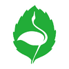 ��ʦ֮��app