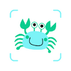 �пƿ���app