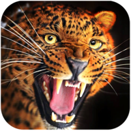 Talking Cheetah(˵ԱϷ)v1.0.4׿