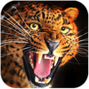 Talking Cheetah(��˵�����Ա���Ϸ)