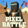 Pixel Battle Royale(�ʼ�����ս��)