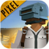 Pixel Battle Royale(����ս���������)