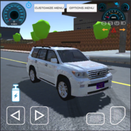 Land Cruiser Hilux Car Game 2021(½Ѳ󽢺ʿ)v0.1 ׿