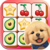 Tile Kingdom(��ש�����Ӵ�ʦ)