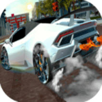 Extreme Real Car Driving(ʵ)0.4.1 ׿