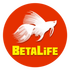 BitLife(��������ģ����)v2.0 ��׿��