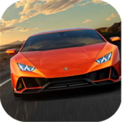 Huracan Driving&Parking&Racing Simulator 2021(ͣģ)v0.1׿