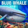 Blue Whale Simulator(����ģ�����ٷ���)