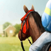 Derby Life(�±�������Ϸ)