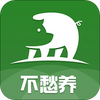 ��������app