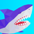 Shark Rampage: Hungry Shark(йٷ)0.7׿