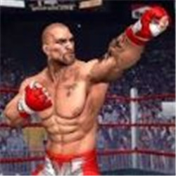Punch Boxing Fighter 2021(ȭȭ)v1.0׿