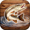 Fishing rain(�˶�����ģ��)