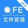 �ļ�����Pro