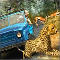 Wild Animals Hunting Safari Shooting Game(Ұ)v1.0.1׿