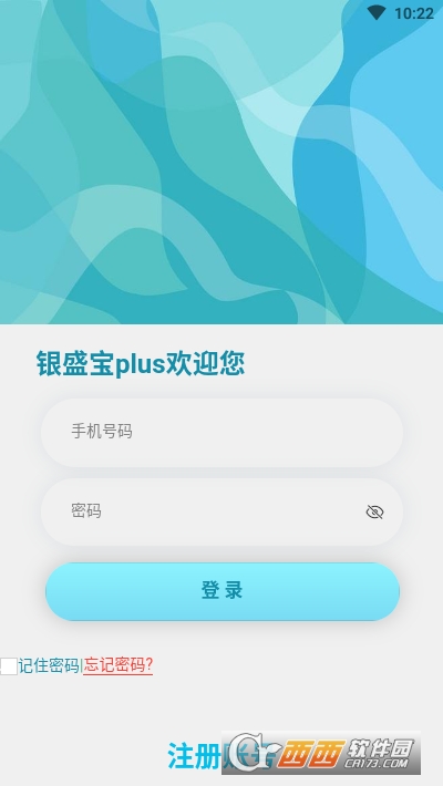 ʢplus