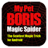 Magicspider
