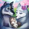 Zoo Craft(�����еĶ���԰����)