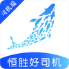 ��ʤ��˾��app
