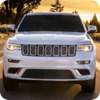 Offroad Driving Adventure(ԽҰ���ճ�ģ����)