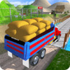 Cargo Indian Truck 3D(��ӡ���˻��￨��ģ����)