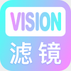 Vision�˾���ʦ