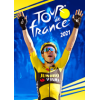 �������г���2021 (Tour de France 2021)