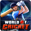 ����֮�����籭World Of Cricket