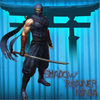 Shadow Runner Ninja(Ӱ������)