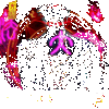 ����Уξ֮��ħ��Ѱ������