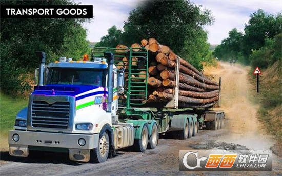 ؛܇ģMLong Cargo Truck