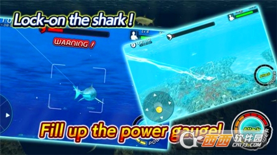 ~឴SharkFishing