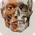 ������֮3D����ͼ3D Anatomyv1.2.7.1 ��׿��
