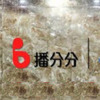 ���ַ�app��׿��