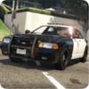 Car Driving Simulator 3d: Driver License(����ս��)