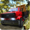 Offroad Cargo Truck Parking(ԽҰ����ͣ����)