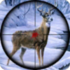 Sniper Animal Shooting 3D(��Ұ����3dSniper Animal Shooting)