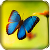 ������������Butterflies Live Wallpaper
