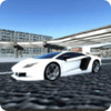 Car Driving(��ʵ�ܳ���ʻ)