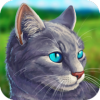 Cat Simulator  Animal Life
