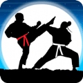 Karate Fighter : Real battles(Ӱӿֵʦս)v17