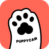 puppycam����appͼ��