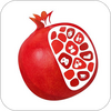 ʯ����appͼ��