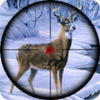 �����ռ�����Sniper Animal Shooting 3D����