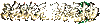 ð�մ�½OL������3ǧ���